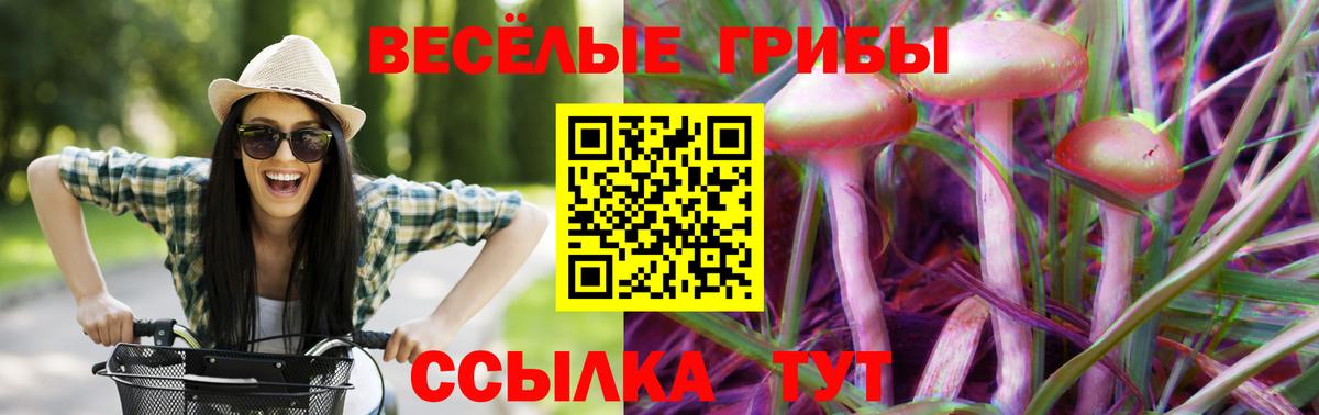 Галлюциногенные грибы ЛСД Саров