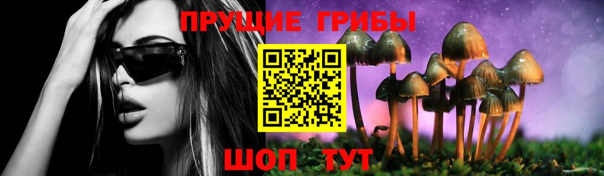Галлюциногенные грибы Cubensis  Вход с VPN  купить наркоту  Саров 